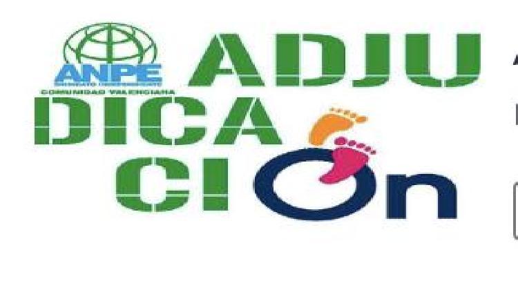 adjucacionanpe