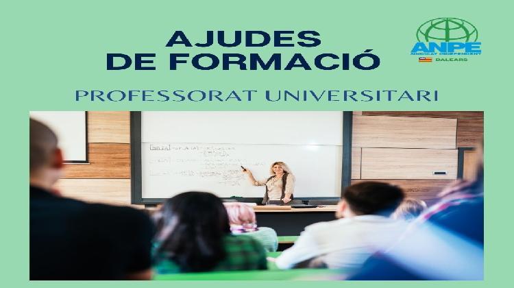 ajudes-professors-universitaris