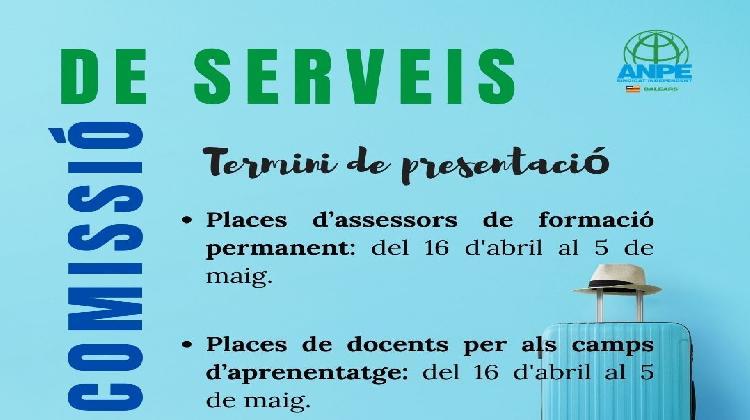 comissió-serveis-web