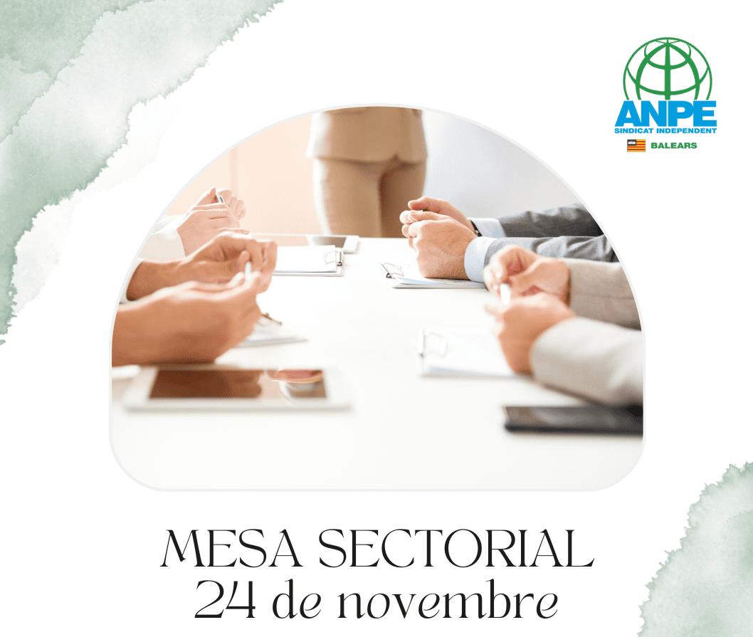 mesa-sectorial-sobre-el-procÉs-d-estabilitzaciÓ-