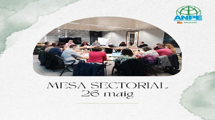 mesa-sectorial-sobre-el-procÉs-d-estabilitzaciÓ