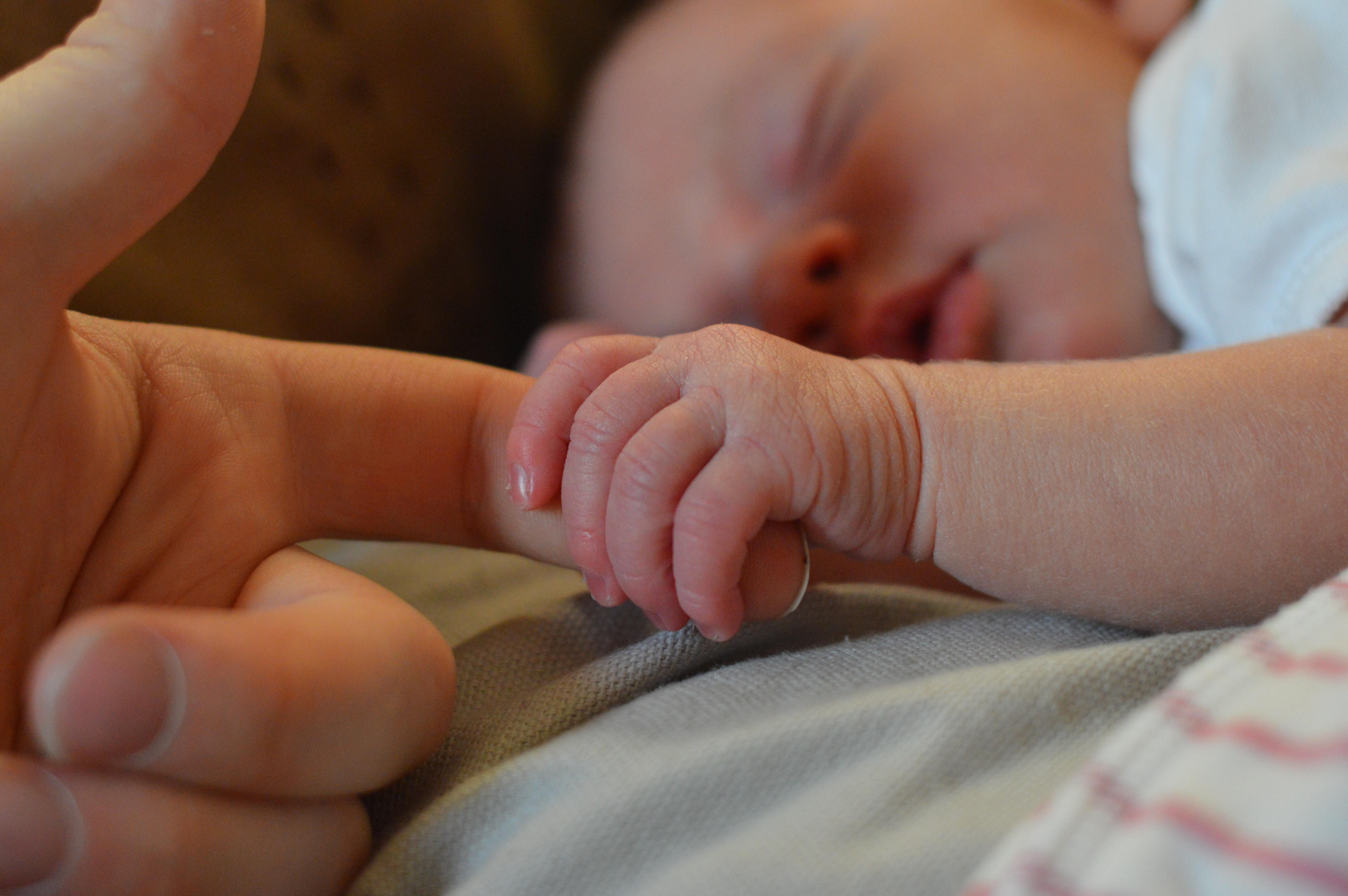 maternidad-y-paternidad