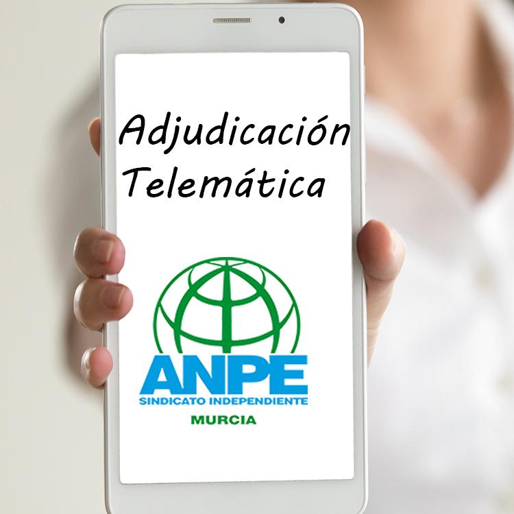 adjudicacion-telematica-2020l