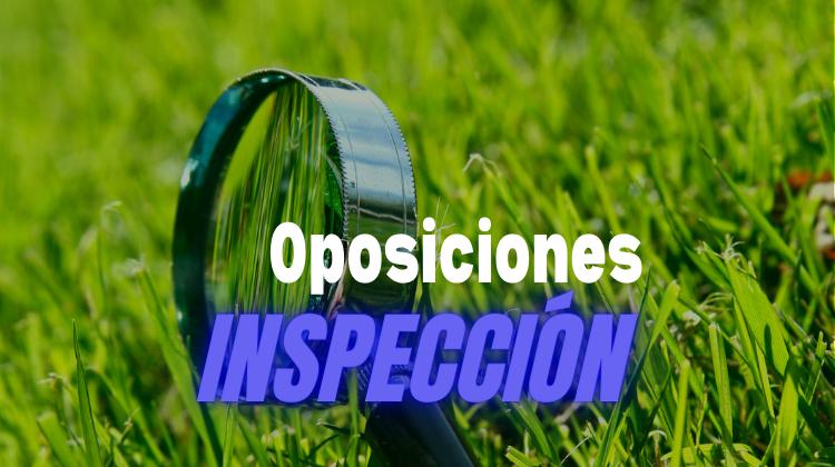 inspección