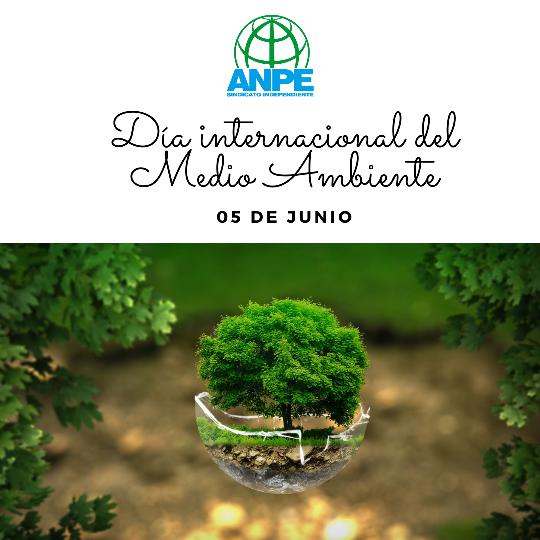 anpe-día-internacional-medio-ambiente