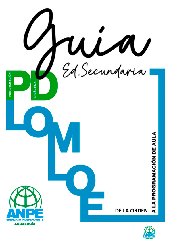 Guía programación Ed Secundaria